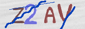 この文字を入力してください