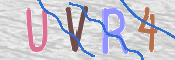 この文字を入力してください