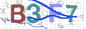 この文字を入力してください
