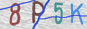 この文字を入力してください