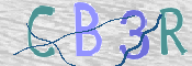 この文字を入力してください