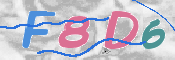 この文字を入力してください
