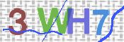 この文字を入力してください