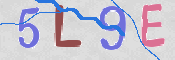 この文字を入力してください