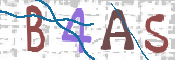 この文字を入力してください