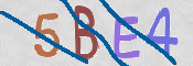 この文字を入力してください