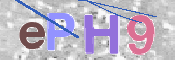 この文字を入力してください