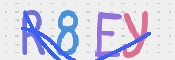 この文字を入力してください