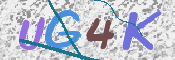 この文字を入力してください