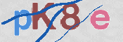 この文字を入力してください