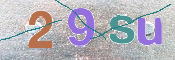 この文字を入力してください