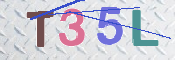 この文字を入力してください