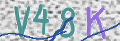 この文字を入力してください