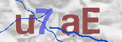 この文字を入力してください