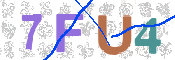 この文字を入力してください