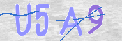 この文字を入力してください