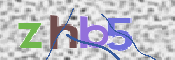この文字を入力してください