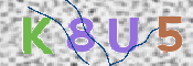 この文字を入力してください