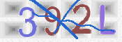 この文字を入力してください