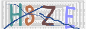 この文字を入力してください