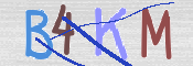 この文字を入力してください