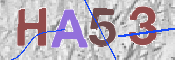 この文字を入力してください