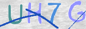この文字を入力してください