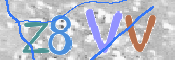 この文字を入力してください