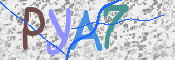 この文字を入力してください