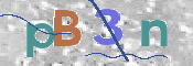 この文字を入力してください