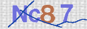 この文字を入力してください