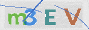 この文字を入力してください