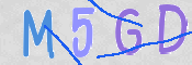 この文字を入力してください