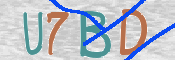 この文字を入力してください