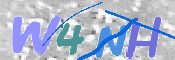 この文字を入力してください