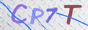 この文字を入力してください