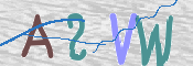 この文字を入力してください