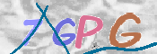 この文字を入力してください