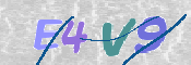 この文字を入力してください