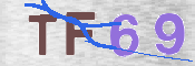 この文字を入力してください