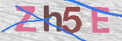 この文字を入力してください
