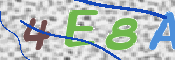 この文字を入力してください