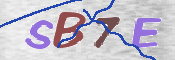 この文字を入力してください