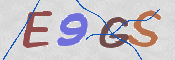 この文字を入力してください