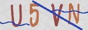 この文字を入力してください
