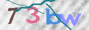 この文字を入力してください