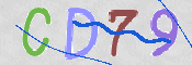 この文字を入力してください