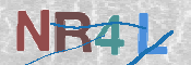 この文字を入力してください