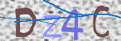 この文字を入力してください