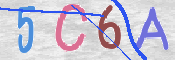 この文字を入力してください